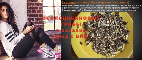 гидра Кинешма