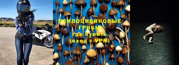 дмт Киреевск