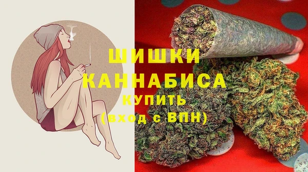 гидра Кинешма